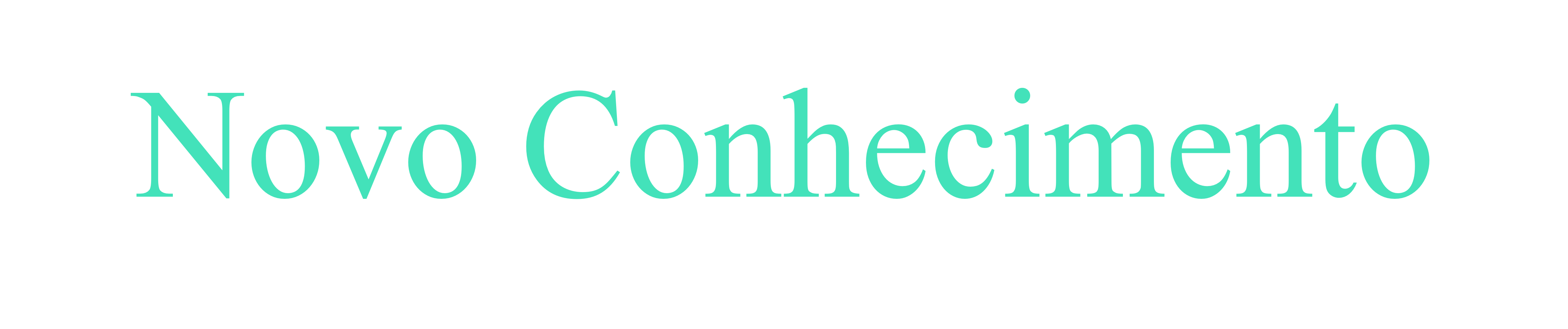 Novo Conhecimento 